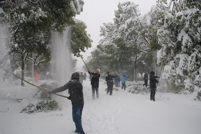 淮南師范學(xué)院召開抗雪防災(zāi)工作會議，加強(qiáng)校園安全工作