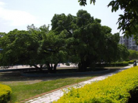 贛南師范學(xué)院科技學(xué)院2023年學(xué)費(fèi)、收費(fèi)多少