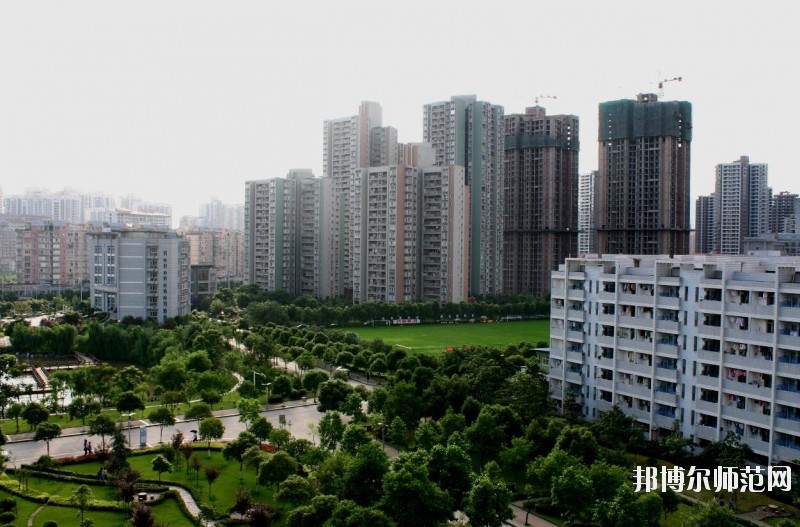 重慶文理師范學(xué)院紅河校區(qū)招生辦聯(lián)系電話(huà)