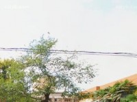 西安職業(yè)中等幼師專業(yè)學(xué)校2023年報(bào)名條件、招生要求、招生對(duì)象