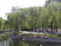 新鄉(xiāng)工程師范學院2023年學費、收費多少