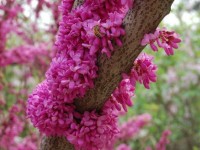 冀中職業(yè)師范學(xué)院南校區(qū)歷年錄取分數(shù)線