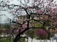 貴陽(yáng)中華幼師職業(yè)學(xué)校2023年怎么樣、好不好