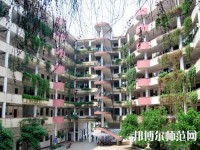 合江少岷幼兒師范職業(yè)技術(shù)學(xué)校2023年怎么樣、好不好