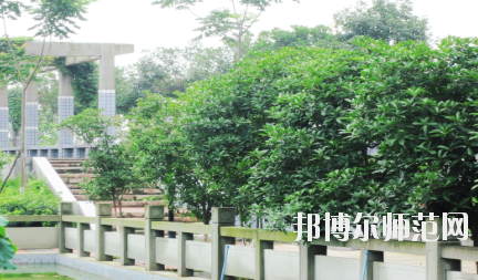 德陽通用電子科技幼兒師范學(xué)校2020年報名條件、招生要求、招生對象