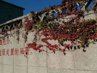 對(duì)外經(jīng)濟(jì)貿(mào)易師范大學(xué)歷年招生錄取分?jǐn)?shù)線(xiàn)