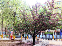 石家莊法商幼兒師范中等專業(yè)學(xué)校2023年報(bào)名條件、招生要求、招生對(duì)象