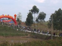岳池白廟幼兒師范職業(yè)中學(xué)2021年招生錄取分數(shù)線