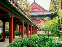 江蘇省2020年有哪些幼師學校最好就業(yè)