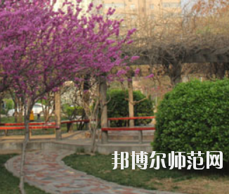 鄭州2020年幼師學?？梢詫W什么