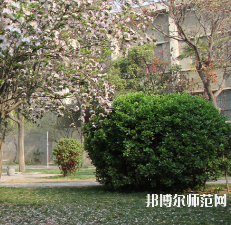 鄭州2020年什么幼師學校就業(yè)好