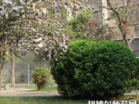 鄭州2020年什么幼師學校就業(yè)好
