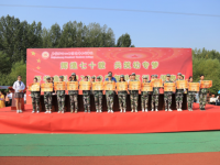 石家莊幼兒師范高等?？茖W(xué)校2023年是幾專