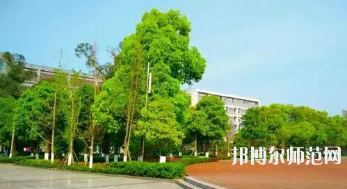 重慶市九龍坡幼師職業(yè)教育中心怎么樣、好不好。