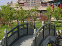 蘭州職業(yè)技術(shù)師范學(xué)院桃林校區(qū)2023年怎么樣、好不好