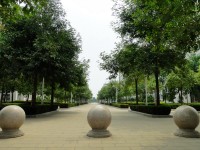 廣西現(xiàn)代職業(yè)技術(shù)師范學(xué)院2023年報(bào)名條件、招生要求、招生對(duì)象