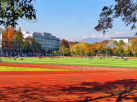 恩施職業(yè)技術師范學院2023年招生計劃
