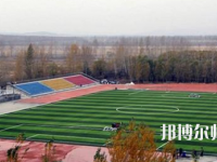 鶴崗師范高等?？茖W(xué)校2023年報名條件、招生要求、招生對象