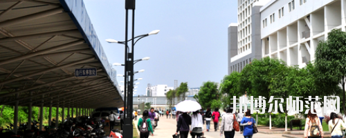 廣西大學行健文理師范學院2021年有哪些專業(yè)