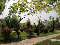 西安2021年什么幼師學校最好就業(yè)