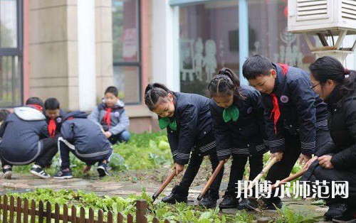 江蘇2022年小學(xué)教育學(xué)校學(xué)費多少