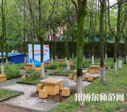 重慶安全技術幼兒師范職業(yè)學院2023年有哪些專業(yè) 