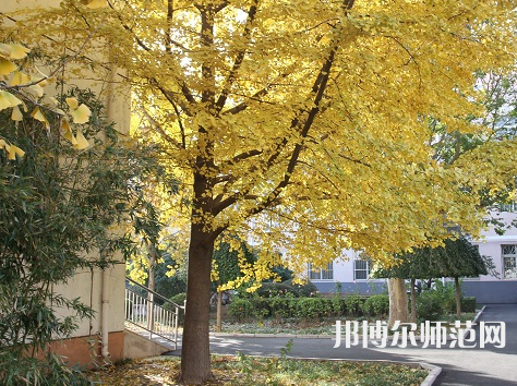 北京京北職業(yè)師范技術(shù)學(xué)院2023年報(bào)名條件、招生要求、招生對(duì)象