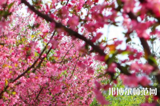 鄭州大學(xué)師范學(xué)院主校區(qū)2023年報(bào)名條件、招生要求、招生對(duì)象
