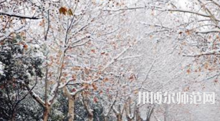 鄭州航空工業(yè)管理師范學(xué)院2023年報(bào)名條件、招生要求、招生對(duì)象