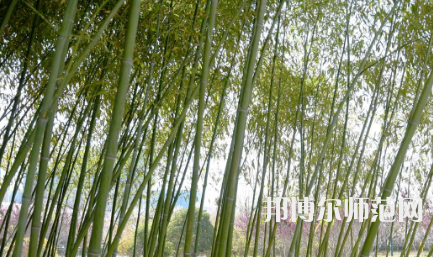 周口職業(yè)技術(shù)師范學(xué)院開(kāi)元校區(qū)2023年報(bào)名條件、招生要求、招生對(duì)象