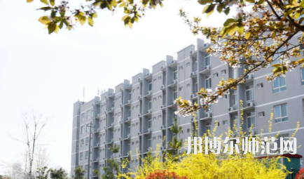 周口職業(yè)技術(shù)師范學(xué)院開元校區(qū)2023年怎么樣、好不好