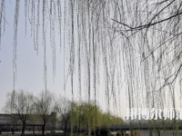 鶴壁職業(yè)技術(shù)師范學(xué)院2023年怎么樣、好不好