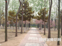 濮陽(yáng)職業(yè)技術(shù)師范學(xué)院2023年報(bào)名條件、招生要求、招生對(duì)象