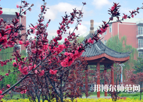 駐馬店師范職業(yè)技術(shù)學(xué)院2023年報(bào)名條件、招生要求、招生對象