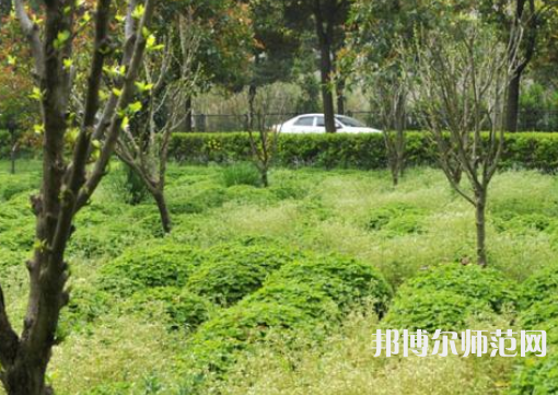 駐馬店師范職業(yè)技術(shù)學(xué)院2023年報(bào)名條件、招生要求、招生對象