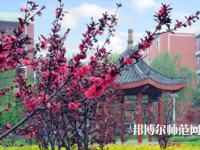 駐馬店師范職業(yè)技術(shù)學(xué)院2023年報(bào)名條件、招生要求、招生對(duì)象