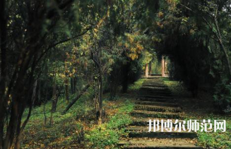 延安大學(xué)西安創(chuàng)新師范學(xué)院2023年怎么樣、好不好