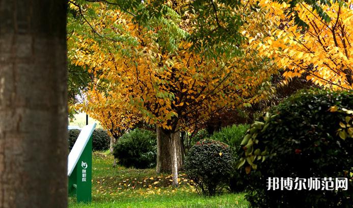 陜西職業(yè)技術師范學院2023年招生錄取分數線