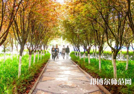 漢中職業(yè)技術(shù)師范學院2023年招生計劃