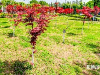 漢中職業(yè)技術(shù)師范學(xué)院2023年怎么樣、好不好