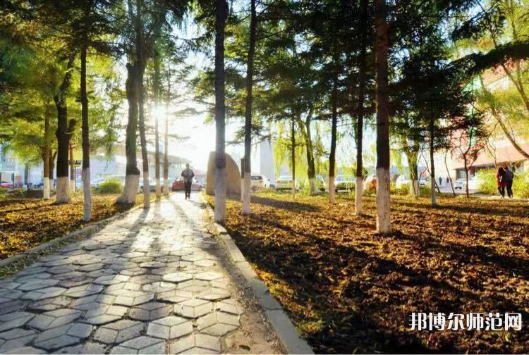 長(zhǎng)春大學(xué)師范學(xué)院主校區(qū)2023年報(bào)名條件、招生要求、招生對(duì)象