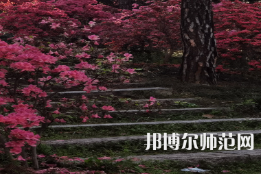 信陽(yáng)師范學(xué)院華銳學(xué)院2023年報(bào)名條件、招生要求、招生對(duì)象