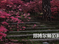 信陽師范學(xué)院華銳學(xué)院2023年報名條件、招生要求、招生對象