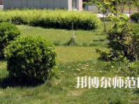 安陽(yáng)幼兒師范高等?？茖W(xué)校歷年招生錄取分?jǐn)?shù)線