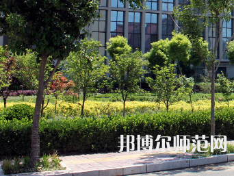 安陽(yáng)幼兒師范高等專(zhuān)科學(xué)校2023年有哪些專(zhuān)業(yè)