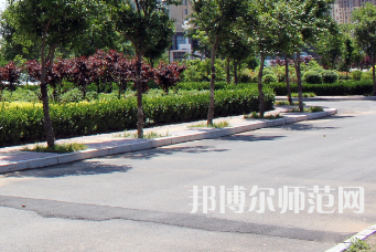 安陽(yáng)幼兒師范高等專(zhuān)科學(xué)校2023年有哪些專(zhuān)業(yè)