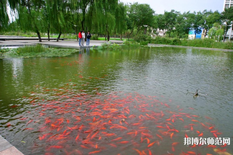 濰坊科技師范學(xué)院2023年怎么樣、好不好 