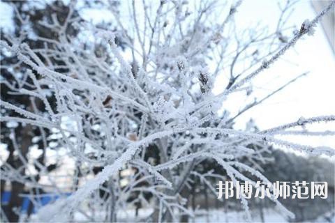 長春理工師范大學2023年招生辦聯(lián)系電話