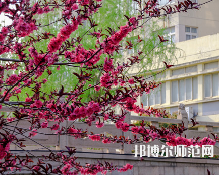 蘇州科技師范大學(xué)天平學(xué)院2023年報(bào)名條件、招生要求、招生對(duì)象