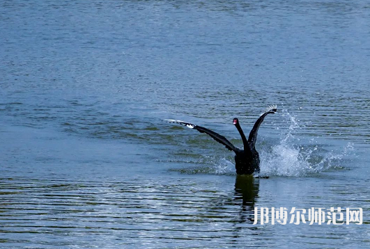 浙江師范大學(xué)2023年怎么樣、好不好